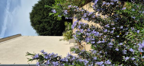 Demeures ressourçantes - Le Vallon, Saint-Martin-de-Saint-Maixent - photo 14