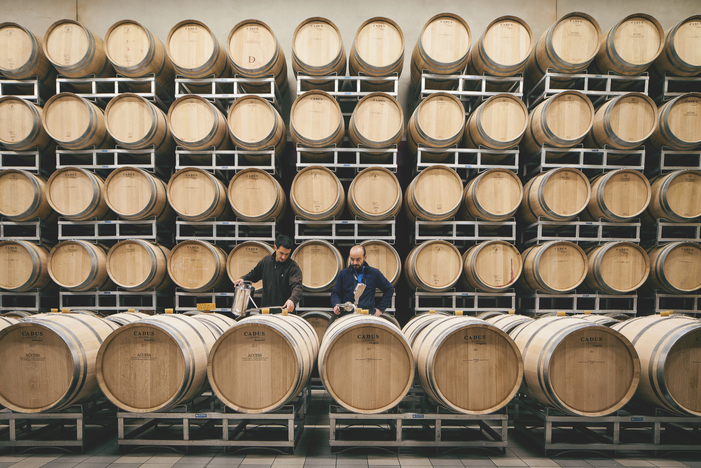 Le Château Les Joualles Cormeil Figeac - photo 5
