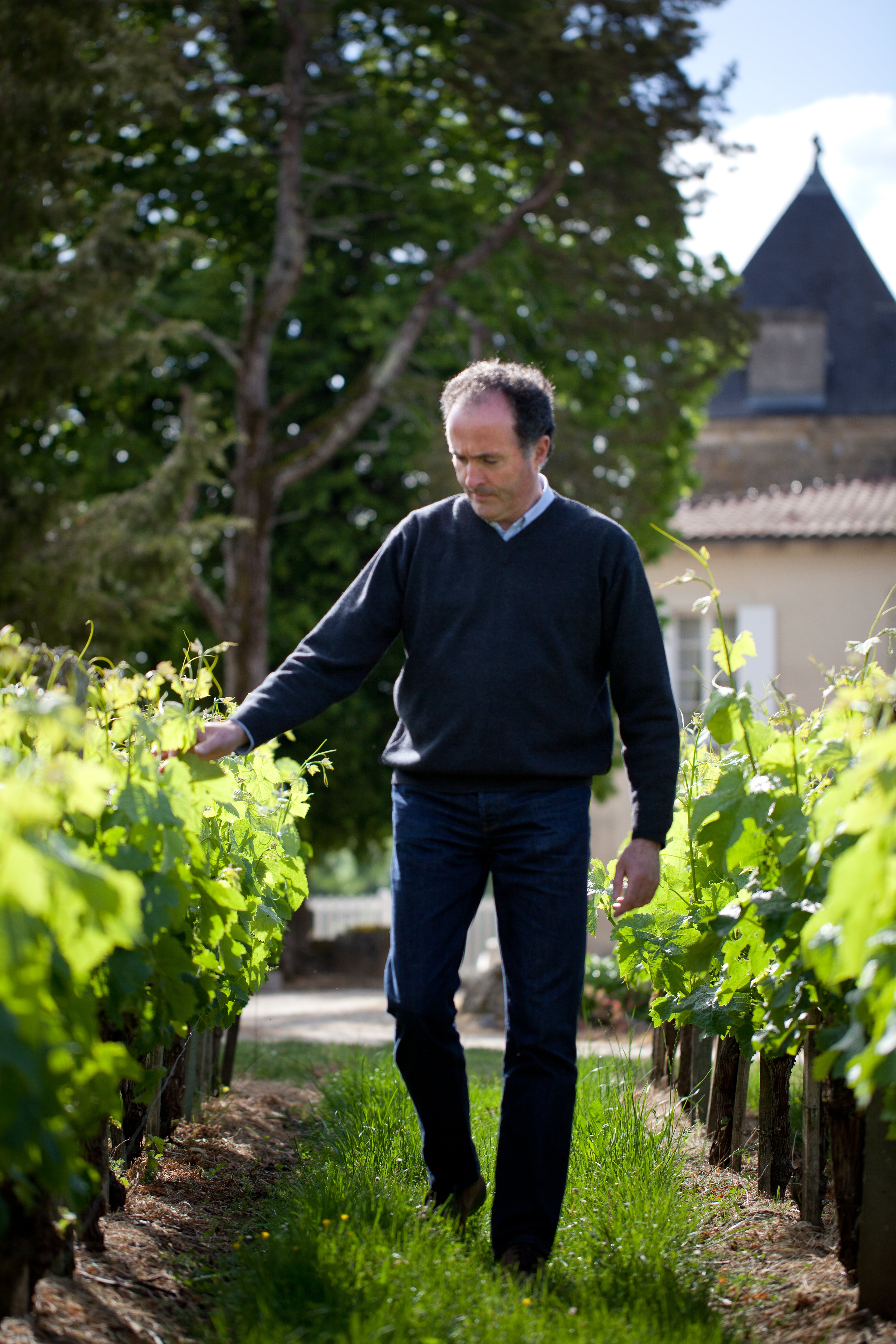 Domaine de Grandmaison