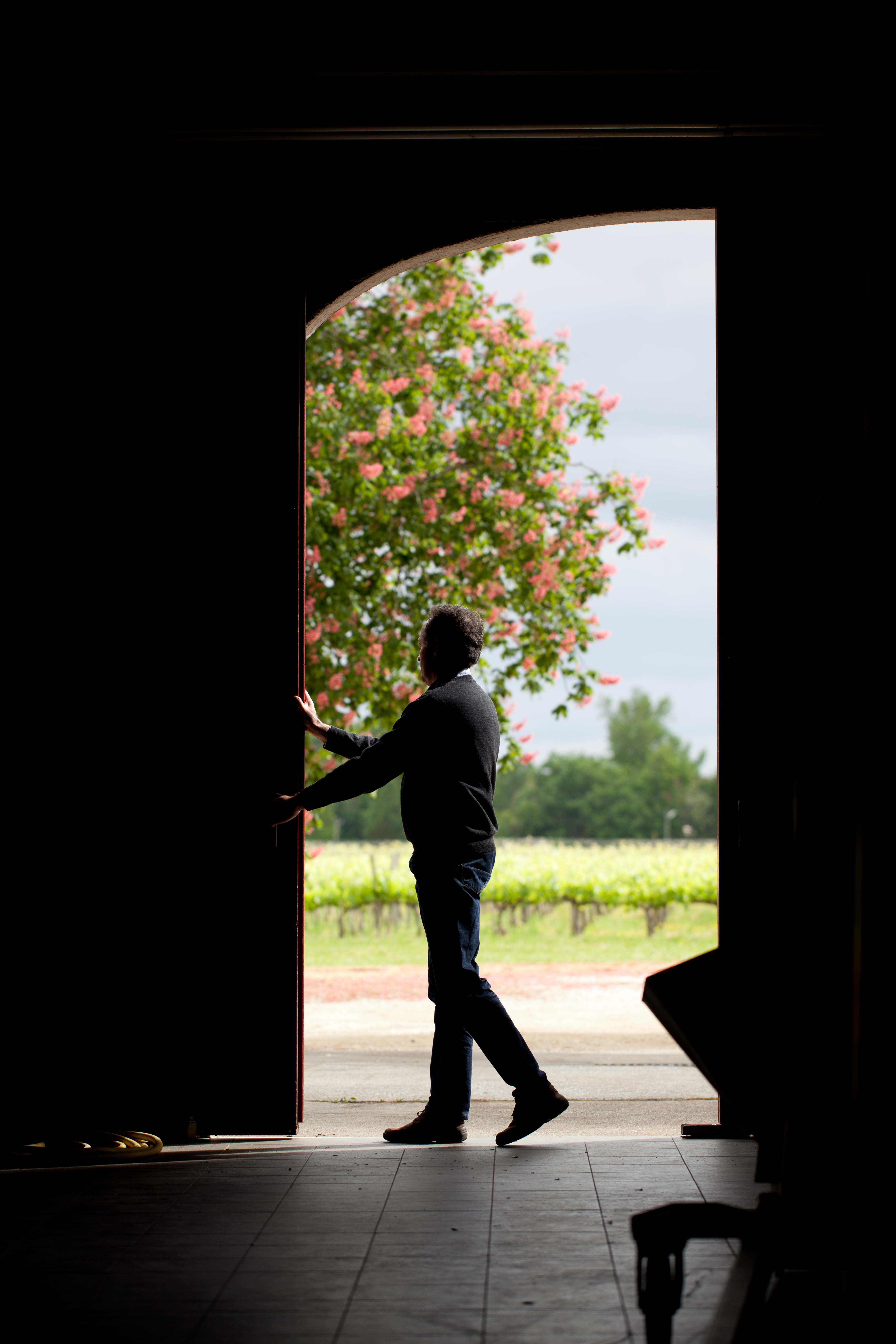 Domaine de Grandmaison - photo 3