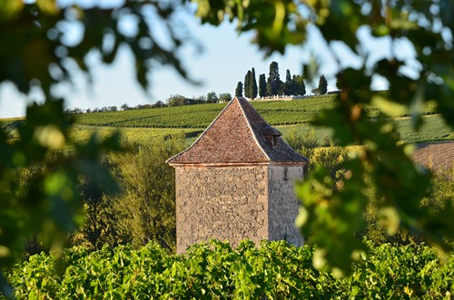 Montagnac, petite montagne d'Albret, Montagnac-sur-Auvignon - photo 9