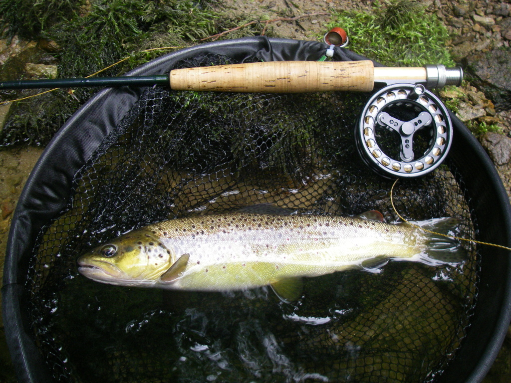 Moniteur Guide de Pêche, Corrèze - photo 2