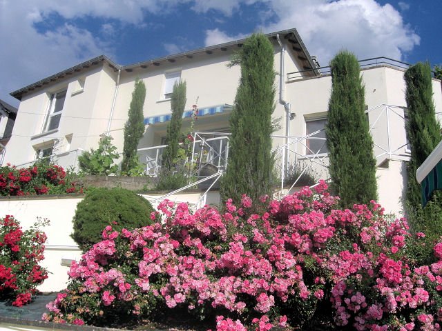 La Maison Blanche, Tulle - photo 2