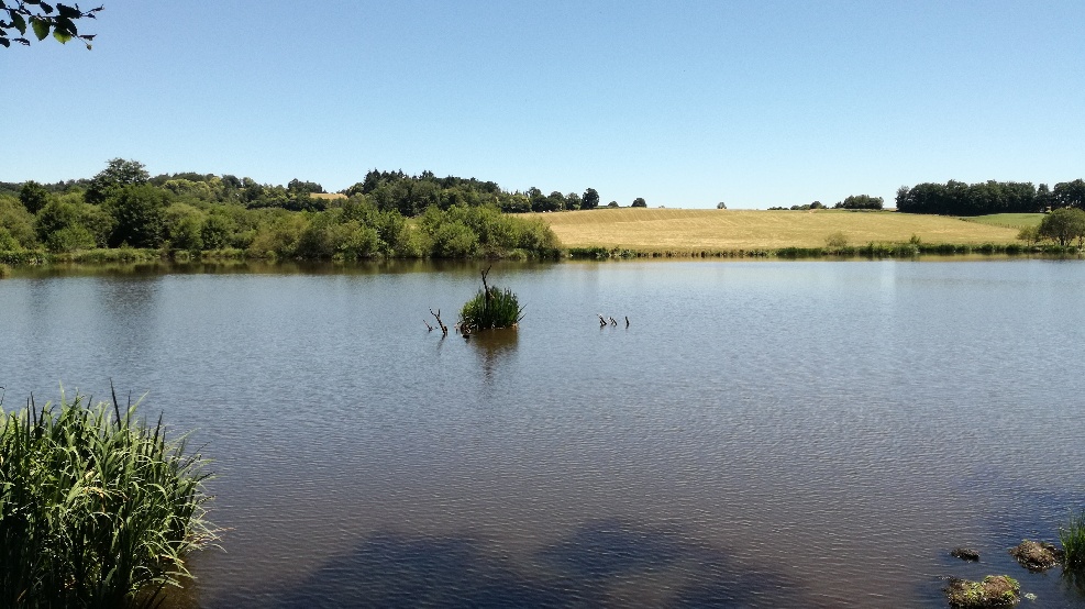 Étang de la Ganetorte - photo 3