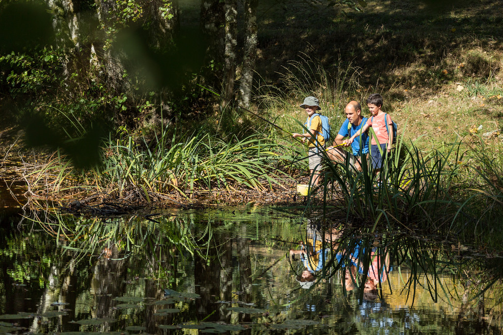 Clergoux, Clergoux - photo 3