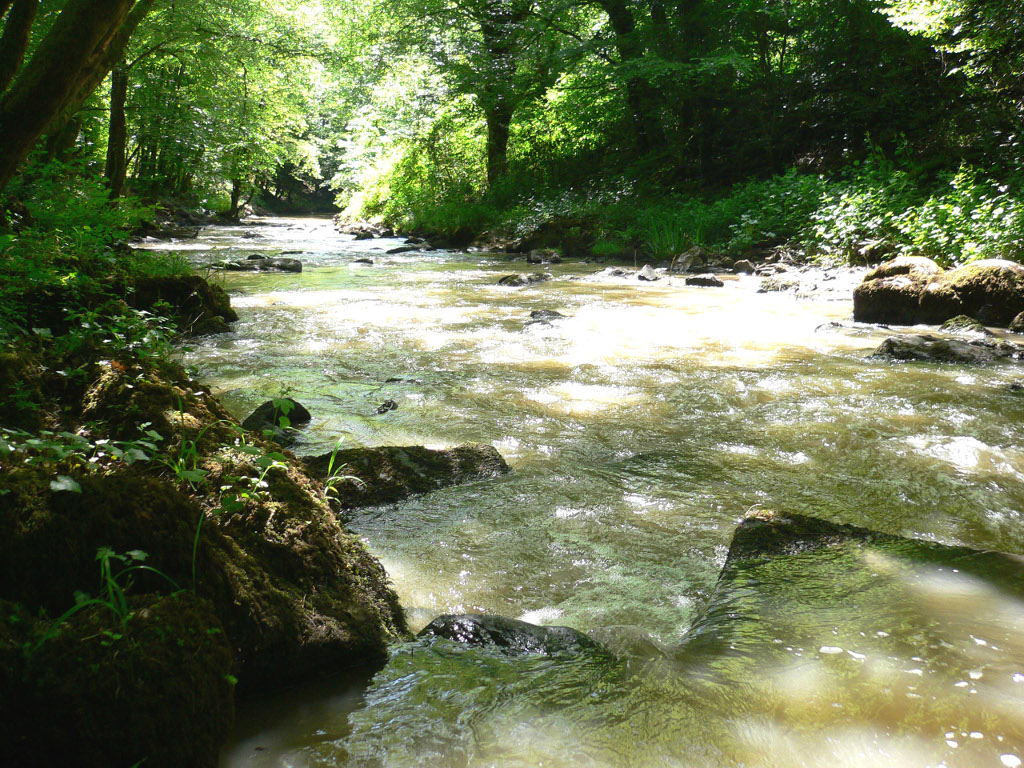 Lagraulière, Lagraulière - photo 3