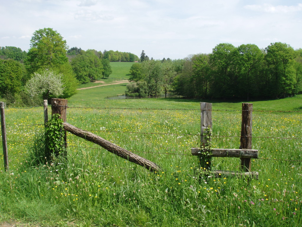 Lagraulière, Lagraulière - photo 2