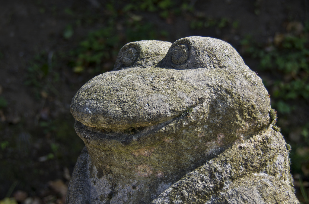 Lagarde-Marc-la-Tour, Lagarde-Marc-la-Tour - photo 9