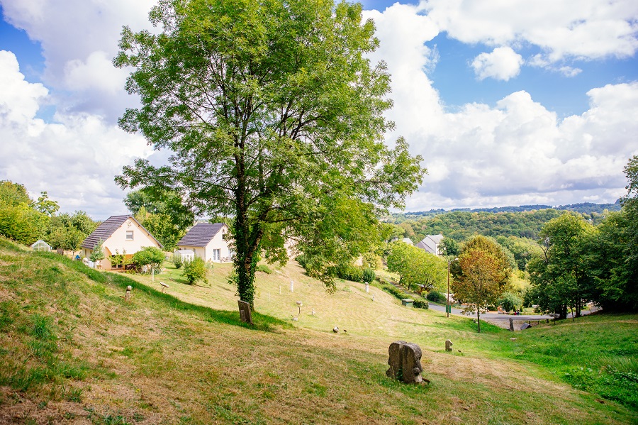 Lagarde-Marc-la-Tour, Lagarde-Marc-la-Tour - photo 4