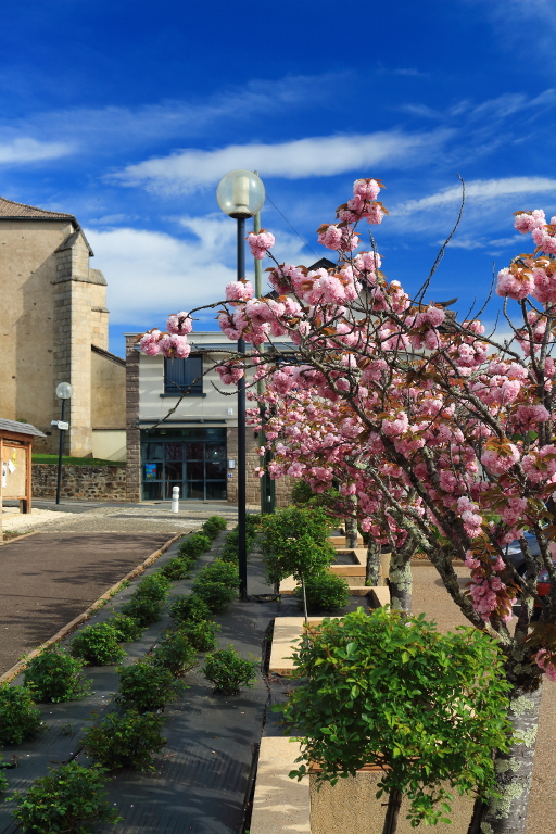 Naves, Naves - photo 4