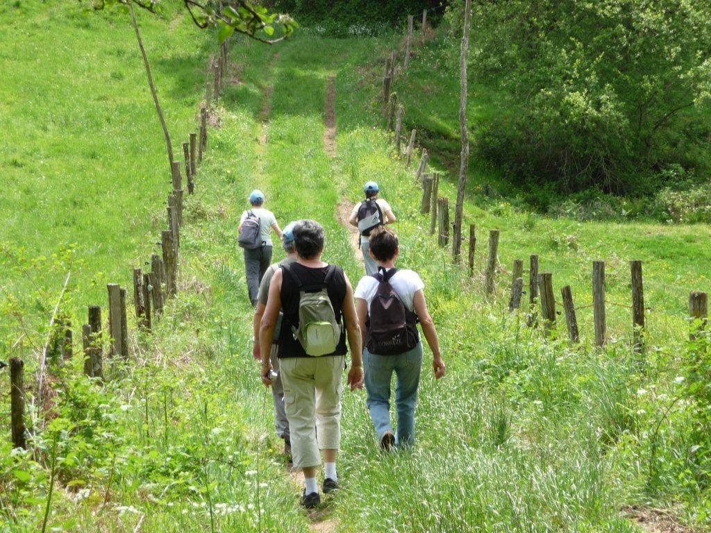 Saint-Germain-les-Vergnes, Saint-Germain-les-Vergnes - photo 2