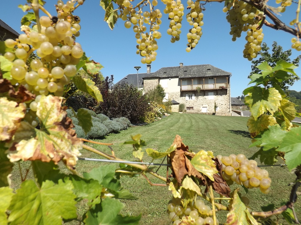 Saint-Hilaire-Peyroux, Saint-Hilaire-Peyroux - photo 4