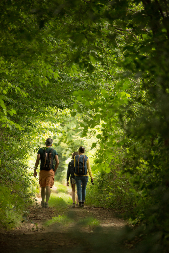 Le Tour de Saint-Mexant, Saint-Mexant - photo 2