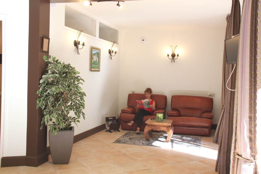 Manoir de Chantemerle, Sainte-Fortunade - photo 9