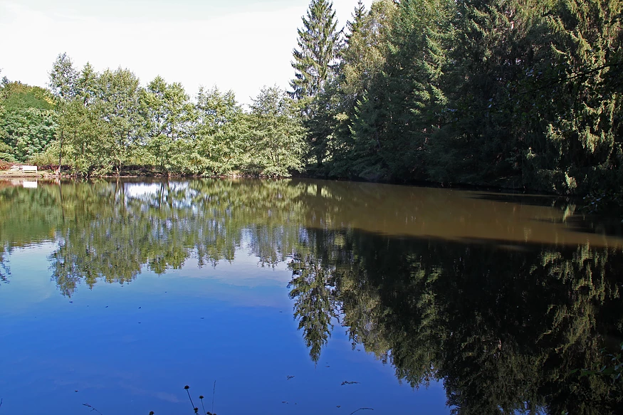 Manoir de Chantemerle - photo 4