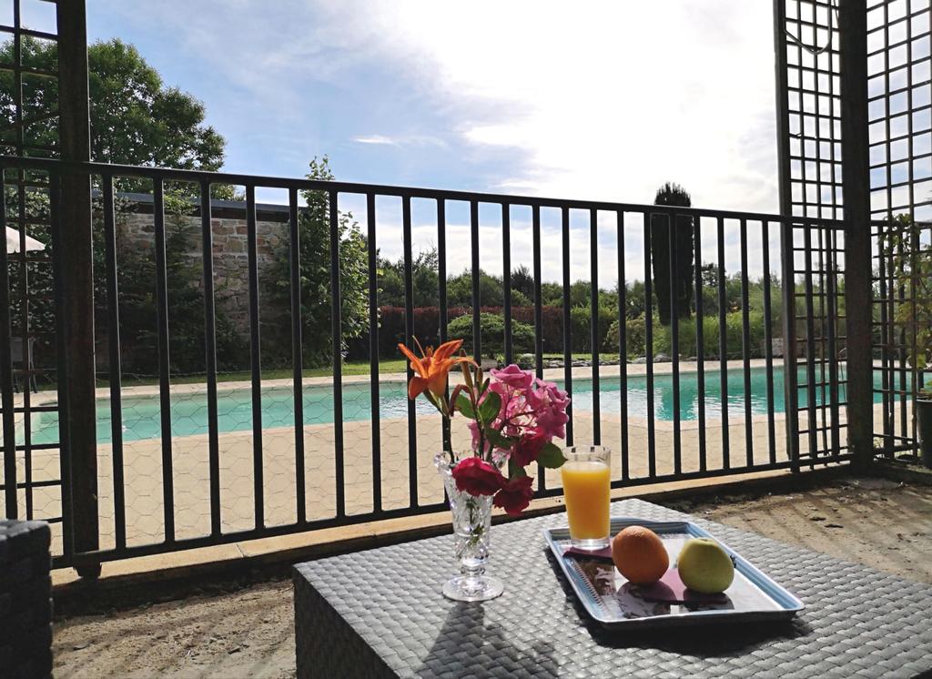 Chambres d'hôtes : La Morgiane, Saint-Germain-les-Vergnes - photo 11