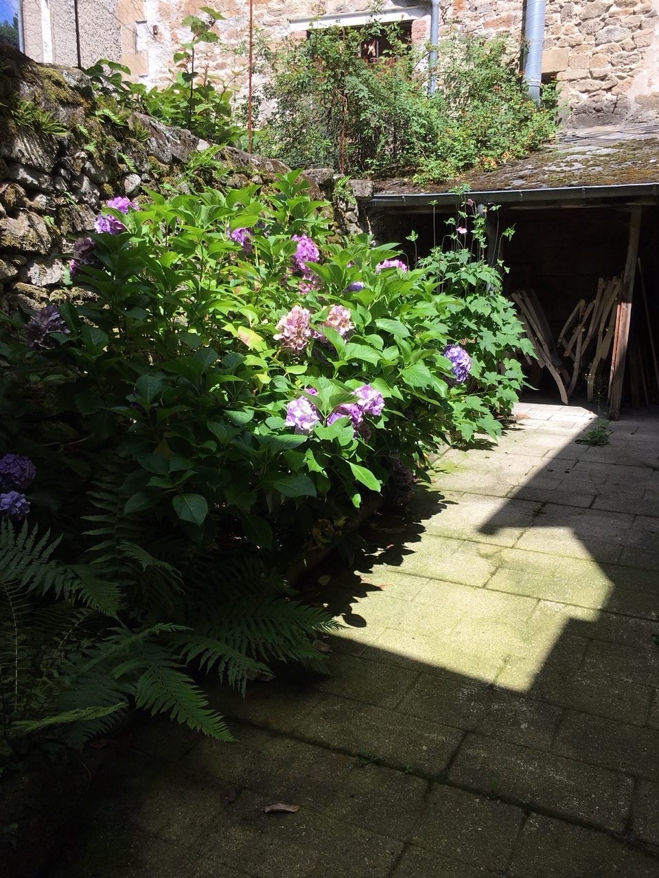 Location Corrèze Médiéval, Corrèze - photo 5
