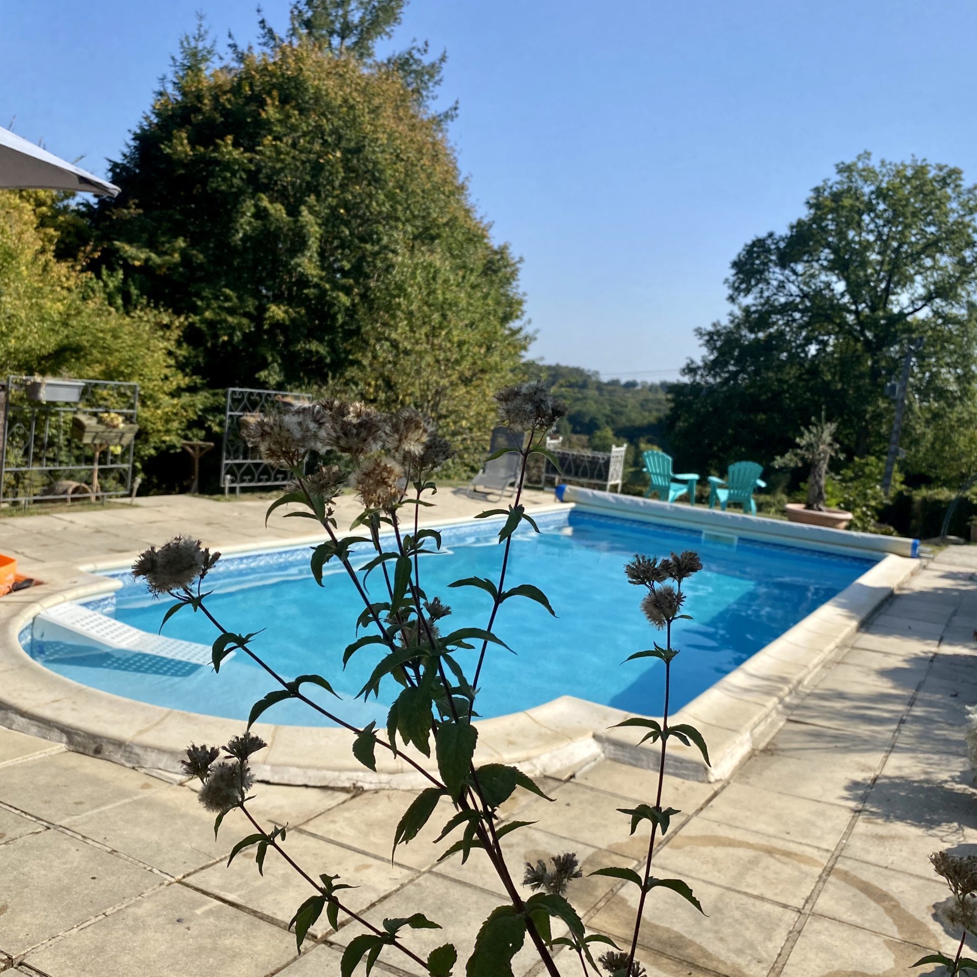 Location : Le Lotus Corrézien, Le Lonzac - photo 4