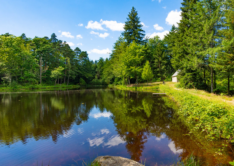 Balade ludique - Gumont, esprit nature - photo 3