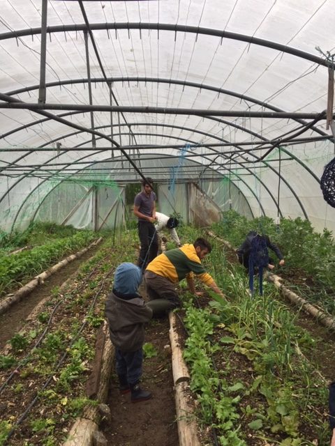 Le Battements d'ailes