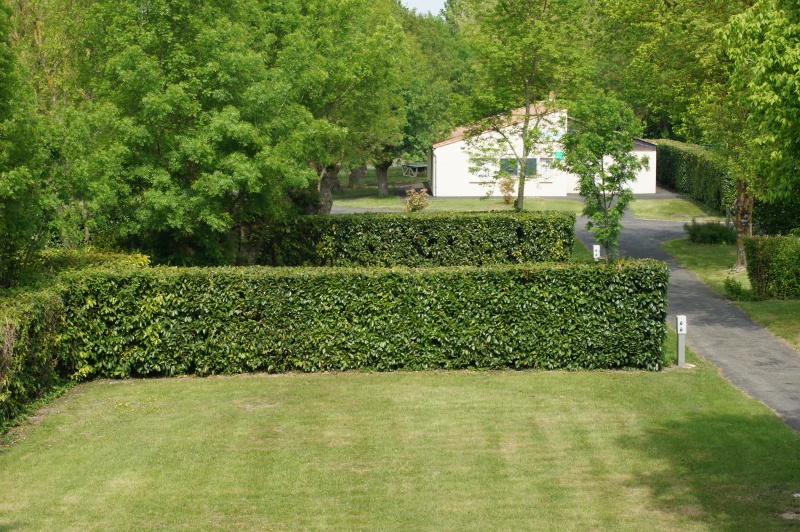 Camping "Le Gué de la Rivière", Mauzé-sur-le-Mignon - photo 6