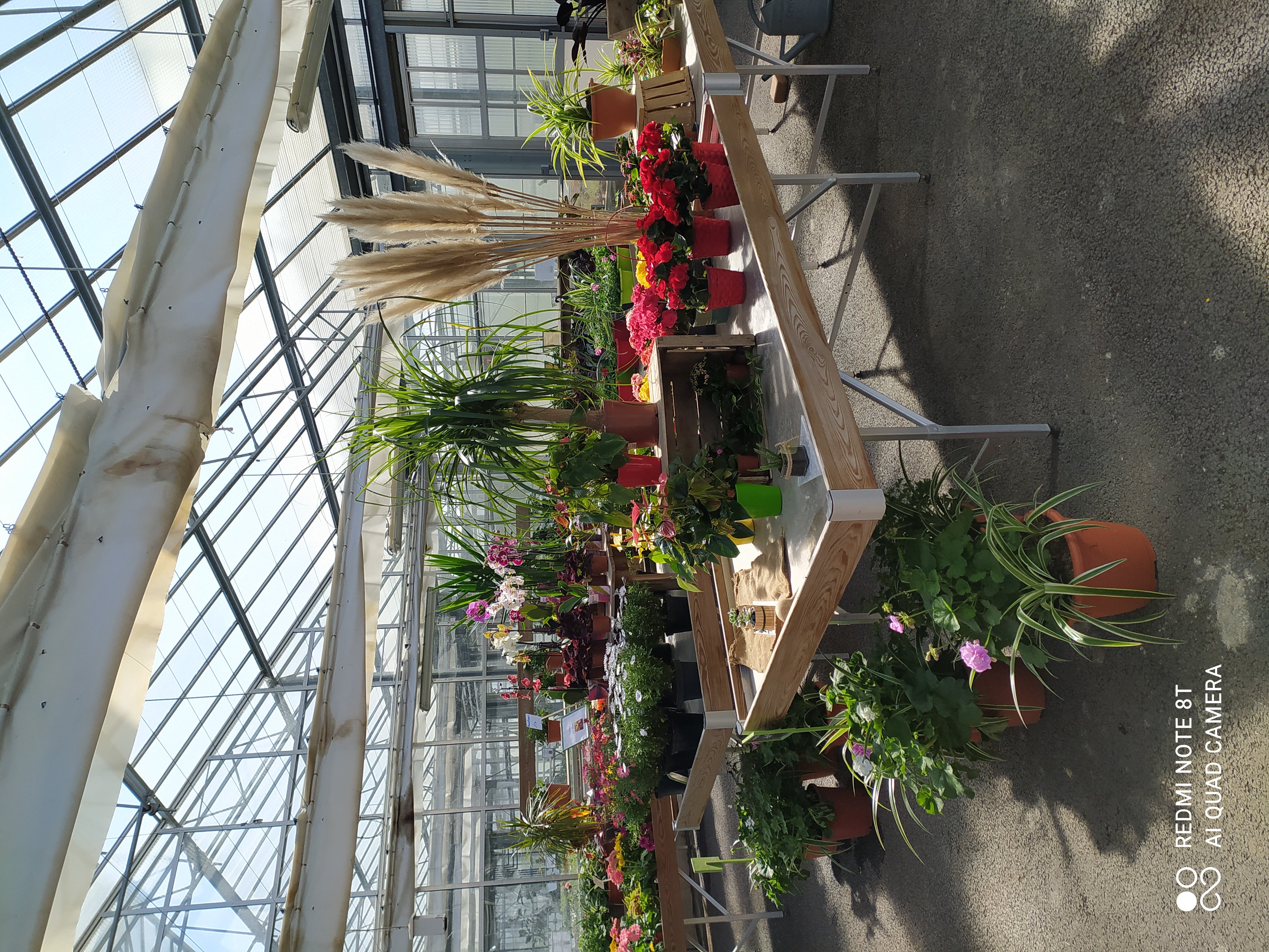 Les serres horticoles du Lycée Agricole