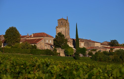 Montagnac, petite montagne d'Albret, Montagnac-sur-Auvignon - photo 2