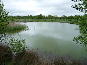 Gîte Le Petit Bossuet - photo 2