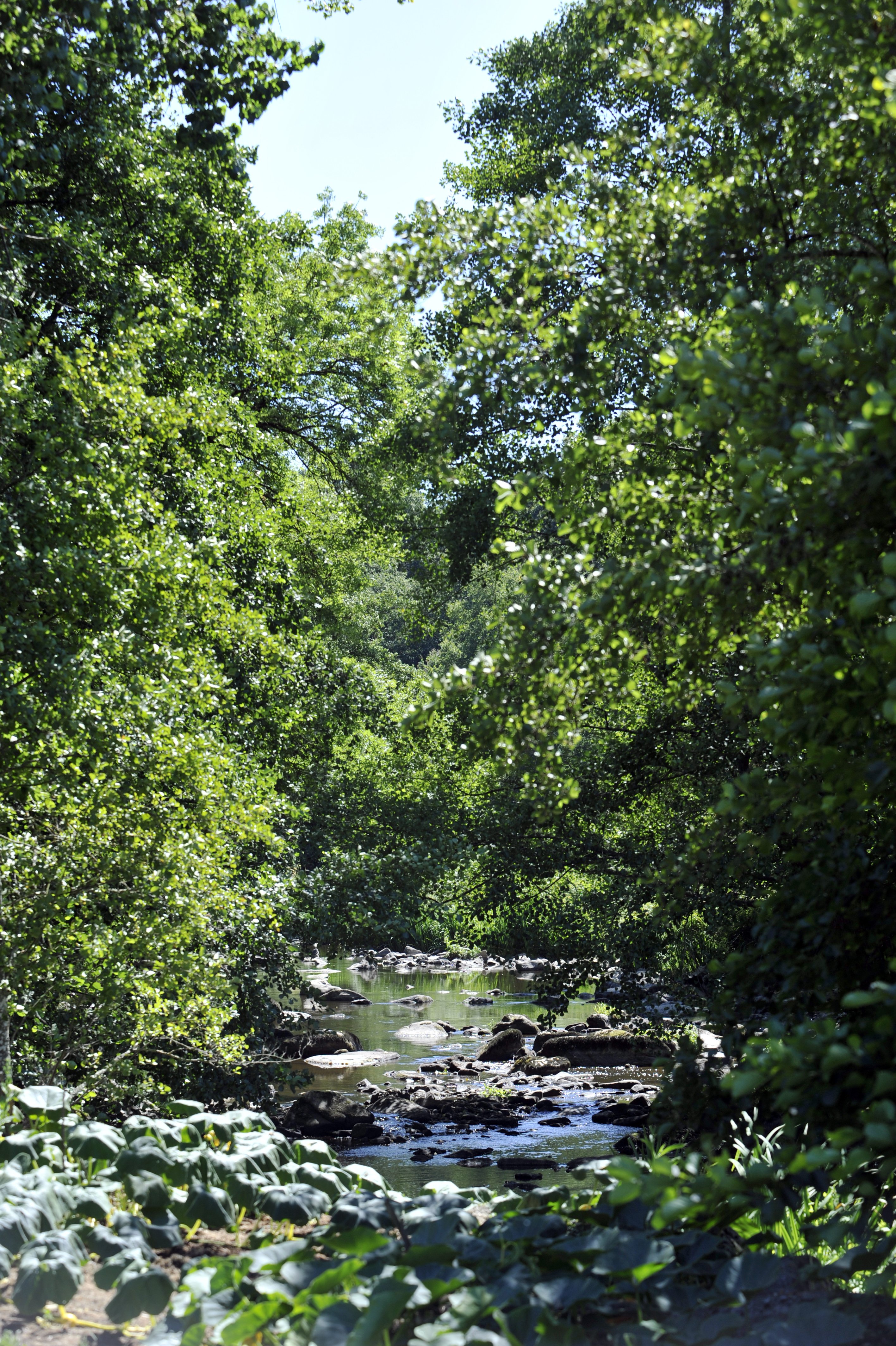 Les Jardins du Gué, Lhoumois - photo 5