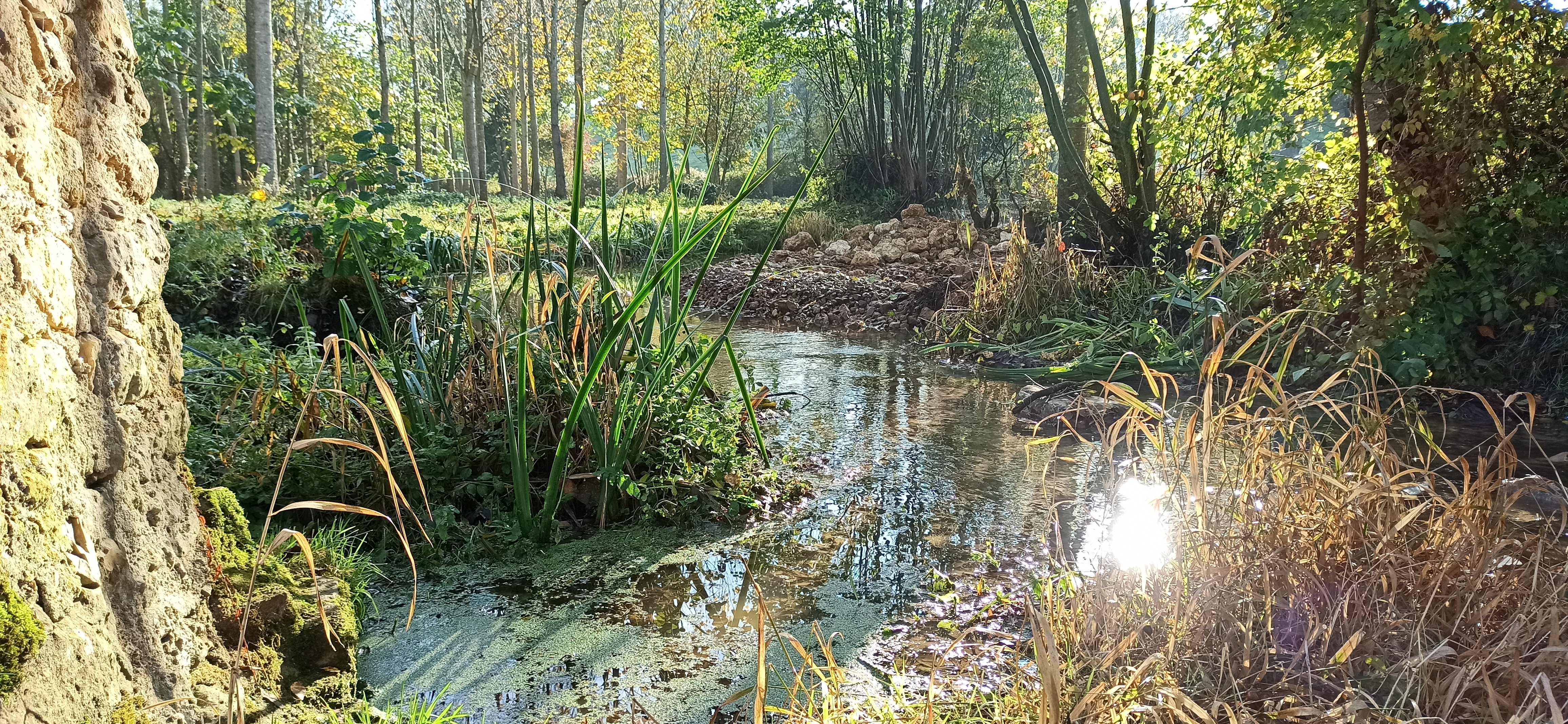 Liaison 19,8km Base VTT Vasles - Gourgé