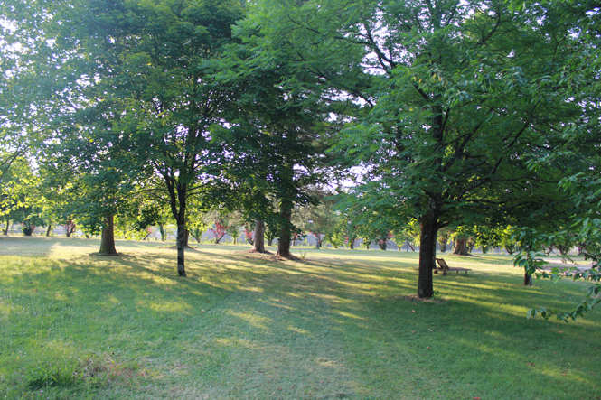 La Demeure du Marais - chambre d'hôtes, Le Vanneau-Irleau - photo 4