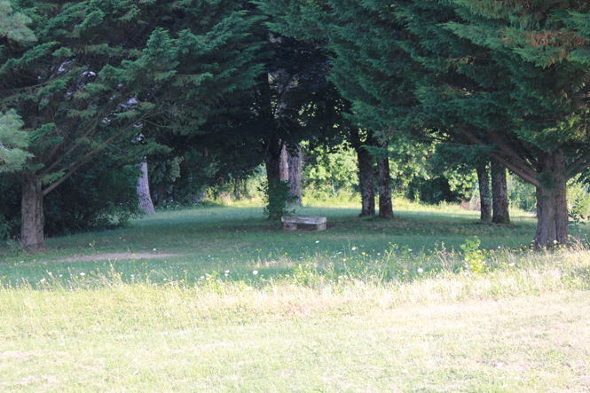 La Demeure du Marais - chambre d'hôtes, Le Vanneau-Irleau - photo 12