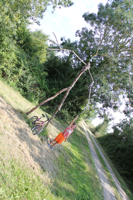 La Demeure du Marais - chambre d'hôtes, Le Vanneau-Irleau - photo 3