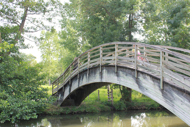 La Demeure du Marais - chambre d'hôtes, Le Vanneau-Irleau - photo 11