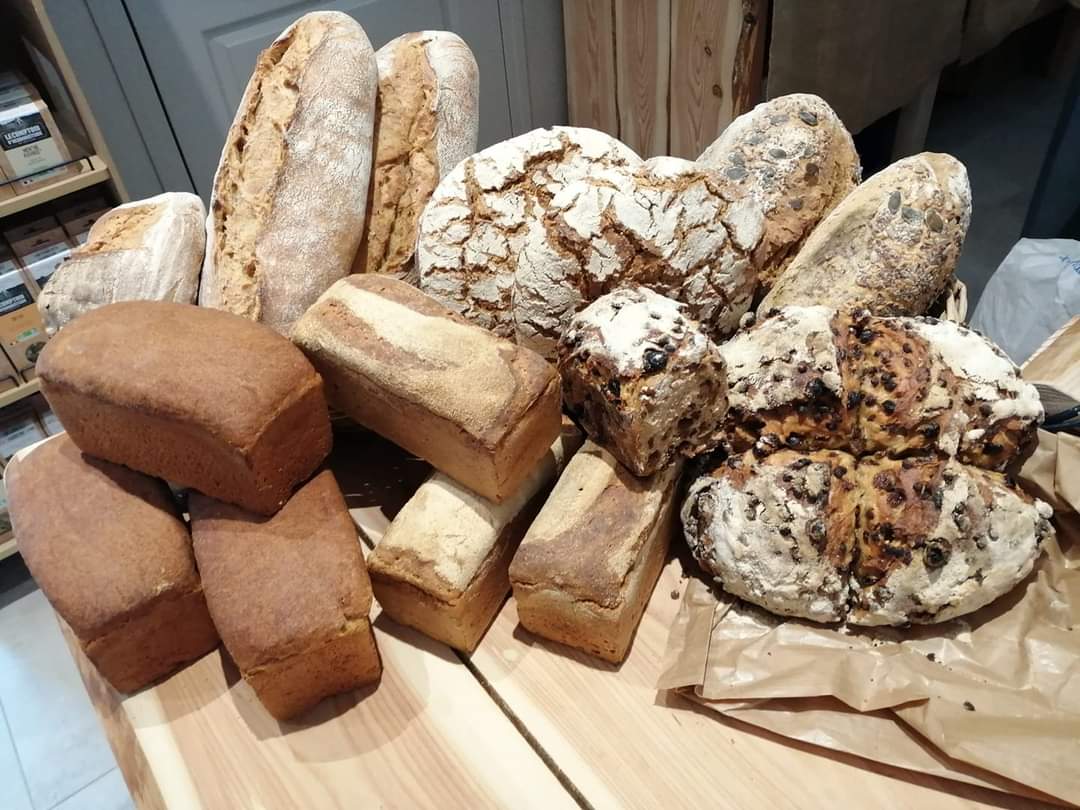 Paumes Vertes - photo 5