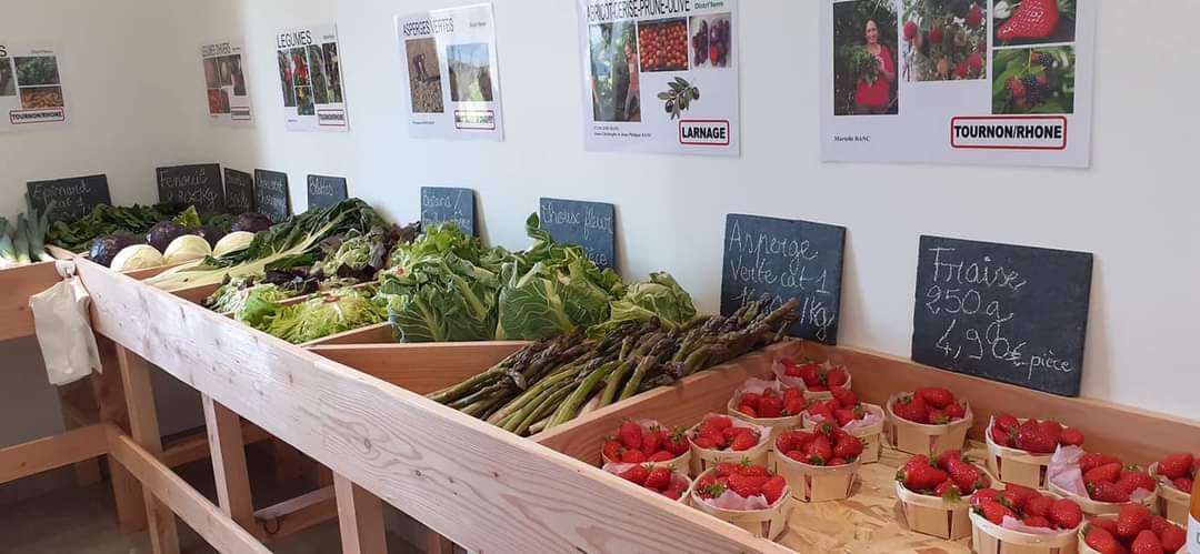 Paumes Vertes - photo 3