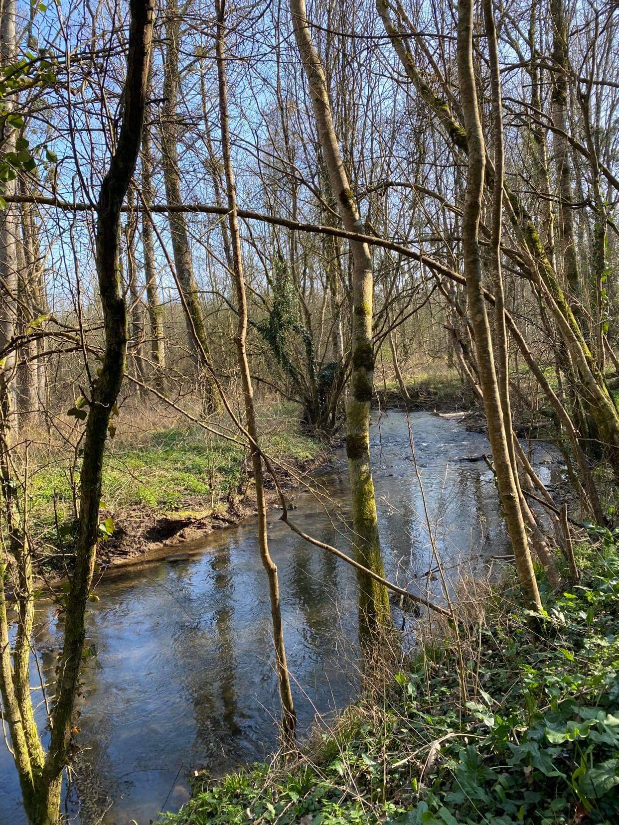 Location 6 personnes Saint-Ouenne