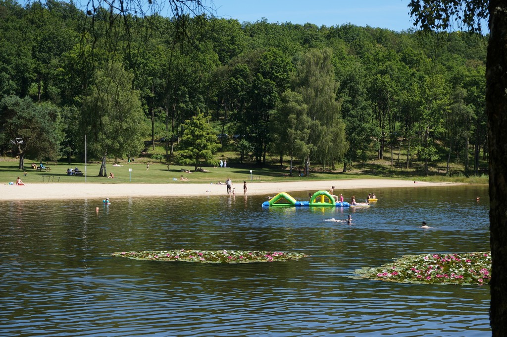 Aire de pique-nique du plan d'eau des Forges - photo 2