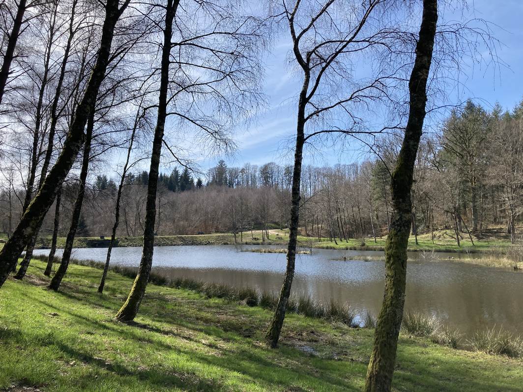 Etang du Portail de Treignac - photo 3