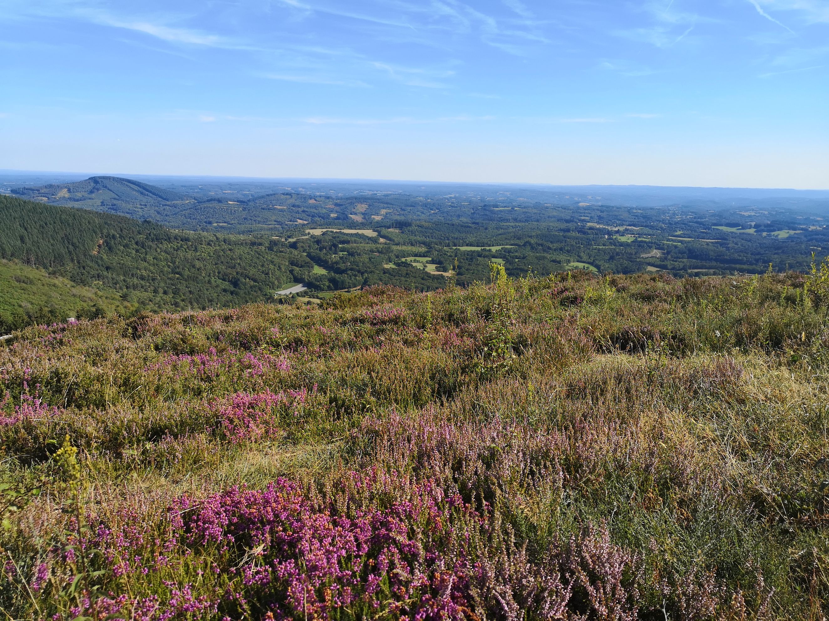 Puy de la Monédière