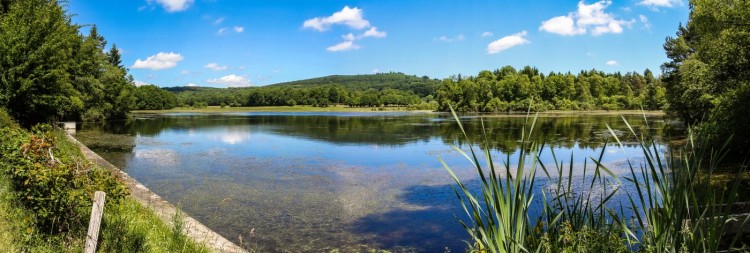 Saint Hilaire les Courbes
