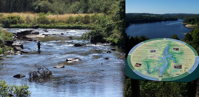 Viam, Viam - photo 4