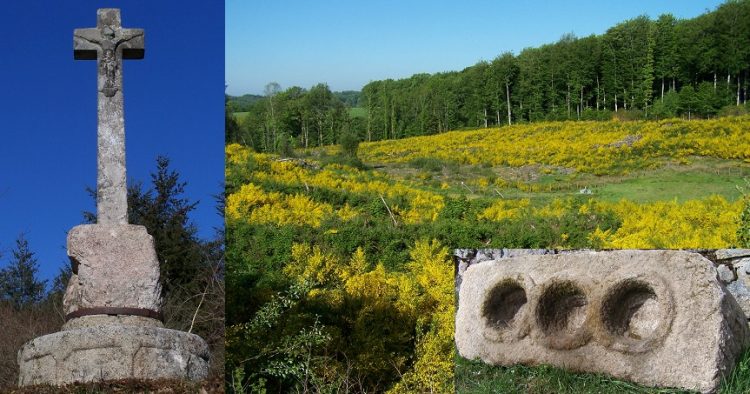 Viam, Viam - photo 2