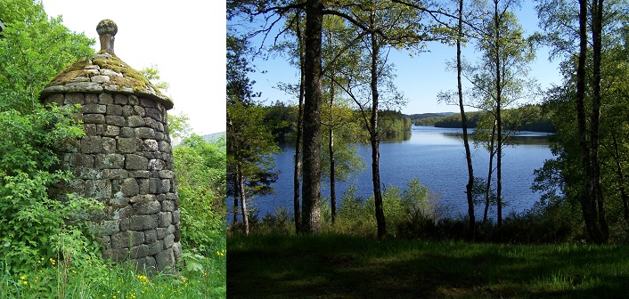 Viam, Viam - photo 5