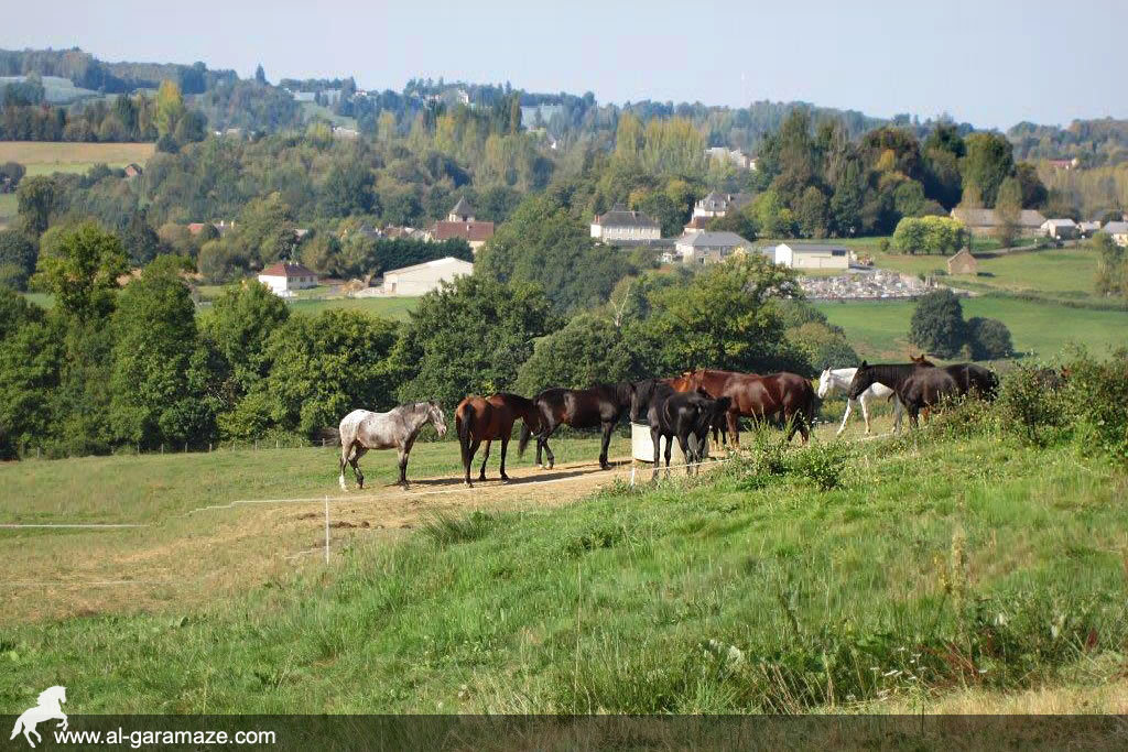 Relais Al Garamaze, Saint-Ybard - photo 6