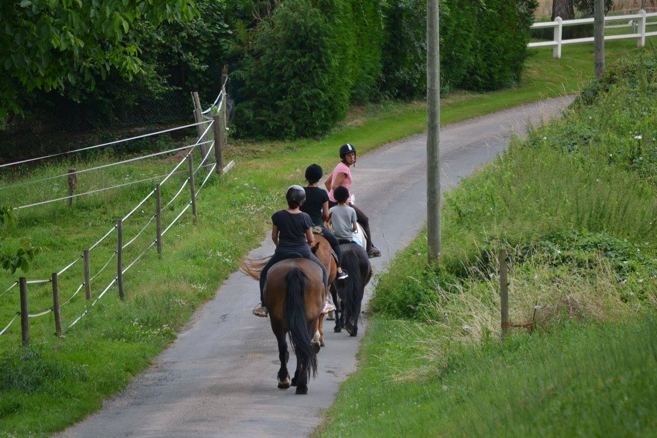 Ferme équestre du Renan, Saint-Sornin-Lavolps - photo 2