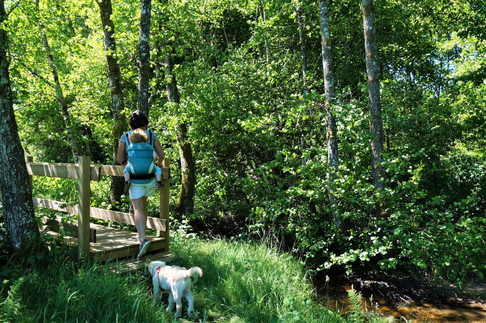 Cascades du Chalard — photo 3