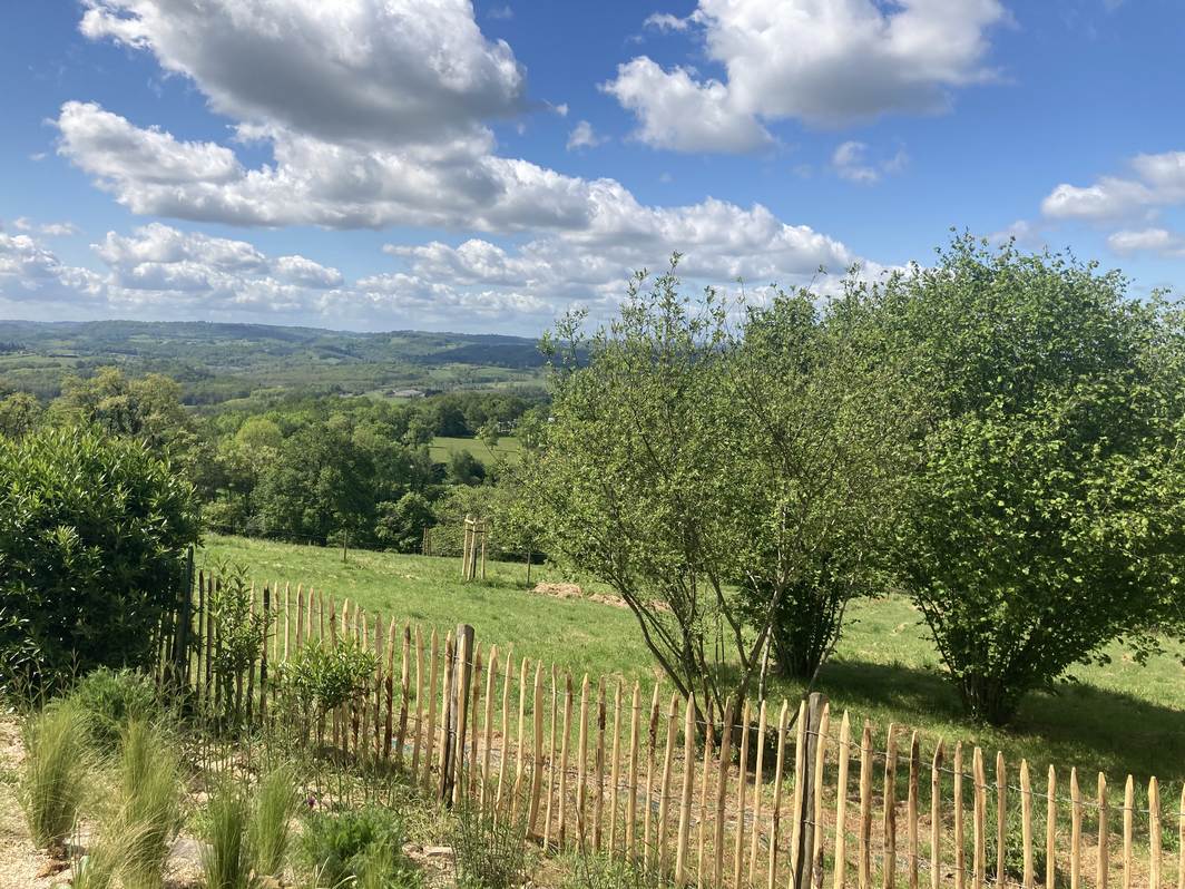 Chambres d'hôtes La Maison Bleue - photo 5