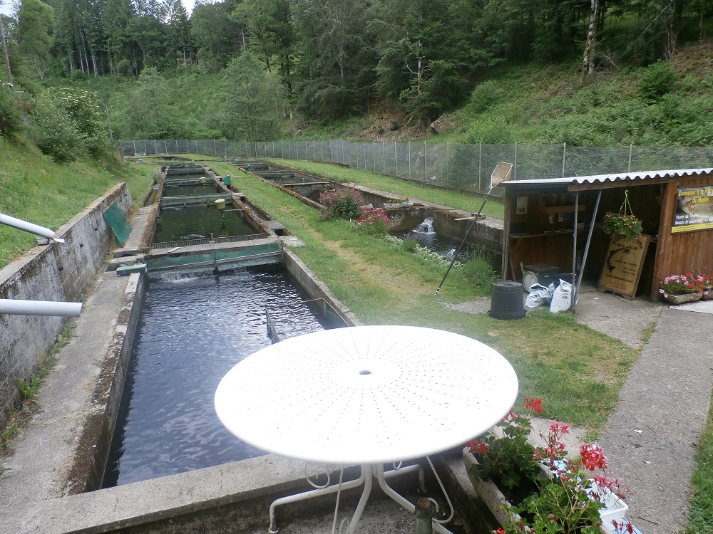 Pisciculture du Moulin de Grandsaigne — photo 2