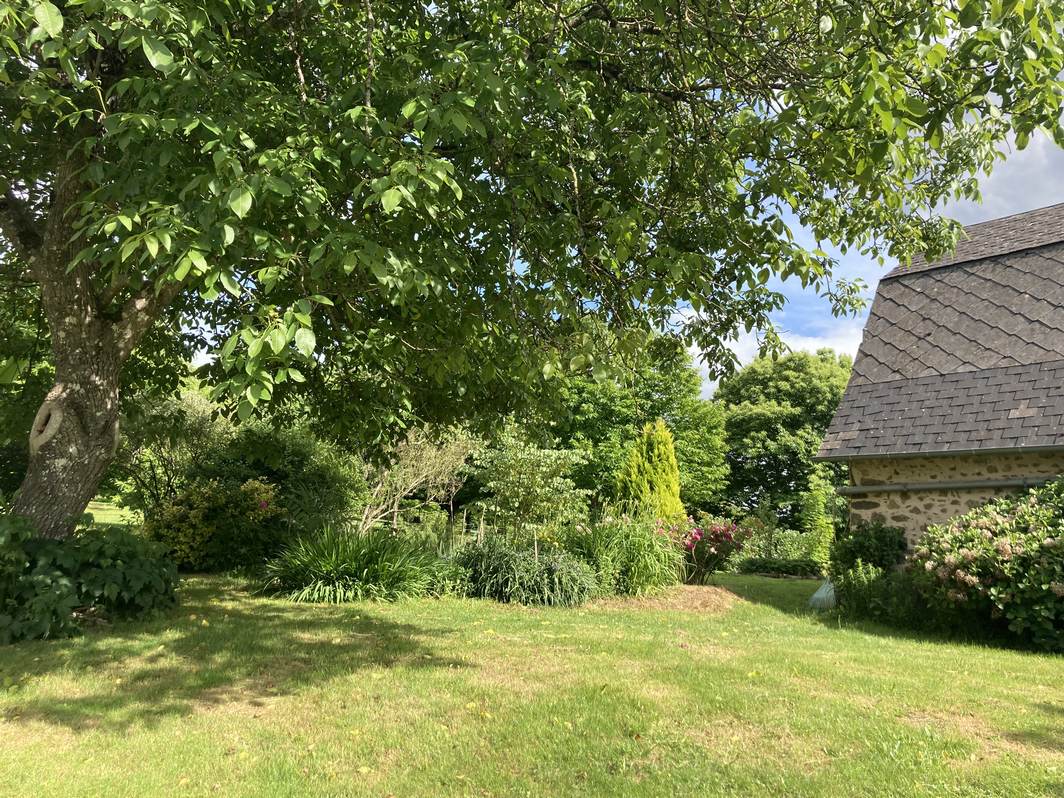 Chambre d'hôtes Les Hortensias, Orgnac-sur-Vézère - photo 2